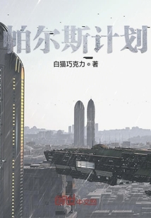 帕爾斯計劃