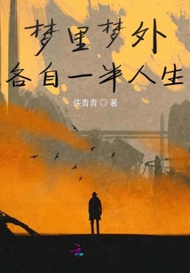夢里夢外各自一半人生