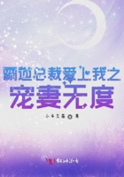 霸道总裁爱上我之宠妻无度在线阅读
