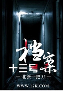 十三號檔案