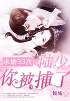 求婚33次:陆少,你被捕了!在线阅读
