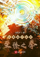 从海贼开始的至臻之拳在线阅读