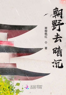 朝野去暗沉
