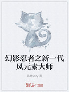 幻影忍者之新一代风元素大师在线阅读