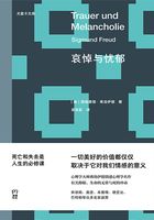 哀悼与忧郁在线阅读
