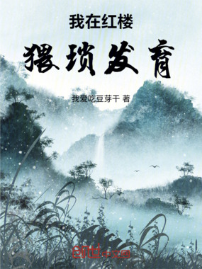 红楼：猥琐发育在线阅读