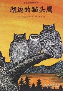 感悟生命動物繪本：湖邊的貓頭鷹