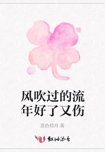 風(fēng)吹過的流年好了又傷