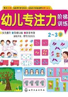 幼儿专注力阶梯训练·2-3岁