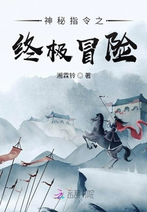 神秘指令之終極冒險