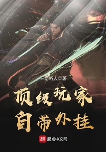 頂級玩家自帶外掛