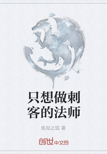 只想做刺客的法師