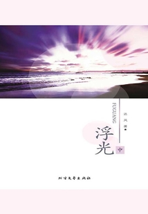 浮光（中）