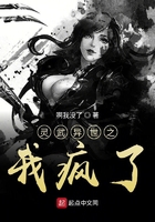 灵武异世之我疯了