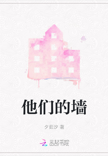 他們的墻