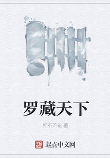 羅藏天下
