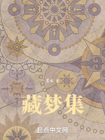 藏夢(mèng)集