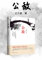 公敌在线阅读