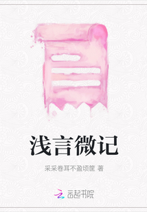 淺言微記