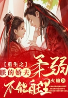重生之朕的娇夫柔弱不能自理