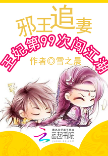 邪王追妻：王妃第99次闯江湖