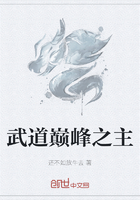 武道巅峰之主