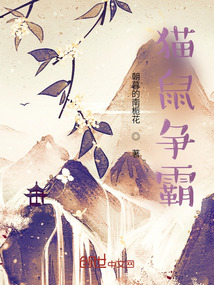 貓鼠爭霸