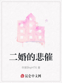 二婚的悲催