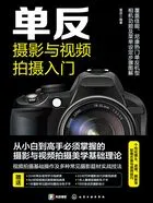 单反摄影与视频拍摄入门在线阅读