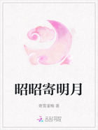 昭昭寄明月在线阅读