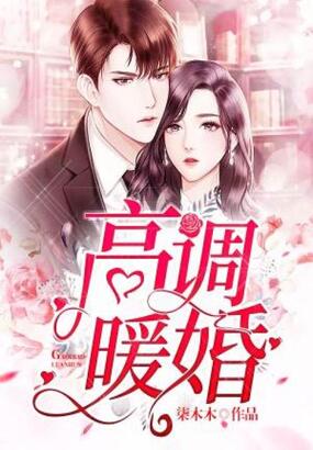 高调暖婚在线阅读