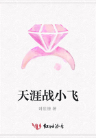 天涯戰小飛在線閱讀