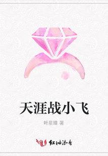 天涯戰(zhàn)小飛