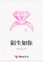 陌生如你在線閱讀