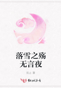 落雪之殇无言夜