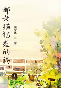 都是貓貓惹的禍