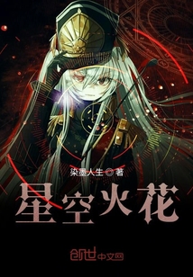 星空?qǐng)?zhí)法者