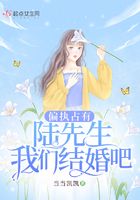 偏执占有:陆先生,我们结婚吧