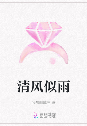 清风似雨在线阅读