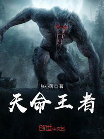 天命王者