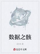 数据之骸在线阅读