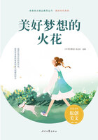 青春美文精品集萃丛书·美好时代系列:美好梦想的火花在线阅读