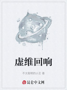 虚维回响在线阅读