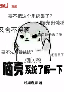 脑壳系统了解一下