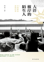 大洋彼岸的陌生人:中国移民美国纪事在线阅读