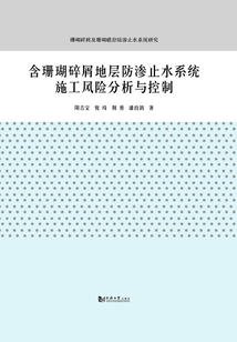 含珊瑚碎屑地層防滲止水系統(tǒng)施工風(fēng)險(xiǎn)分析與控制