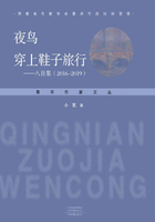 夜鸟穿上鞋子旅行：八首集（2016—2019）在线阅读