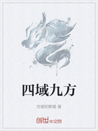 四域九方在线阅读
