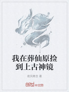 我在葬仙原捡到上古神镜在线阅读