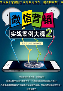 微信營銷實戰(zhàn)案例大觀.2